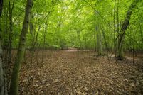 Land for sale in Manistee County, Michigan