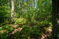 Undeveloped Land for sale in Manistee County, Michigan