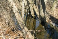 Land for sale in Hillsdale County, Michigan