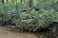 Land for sale in Van Buren County, Michigan