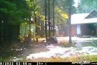 Land for sale in Chippewa County, Michigan