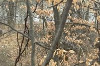 Land for sale in Berrien County, Michigan