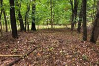 Undeveloped Land for sale in Berrien County, Michigan