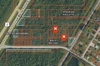 Land for sale in Delta County, Michigan