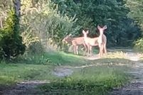 Land for sale in Ionia County, Michigan