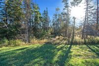 Land for sale in Montmorency County, Michigan