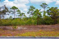 Hunting Property for sale in Gulf County, Florida