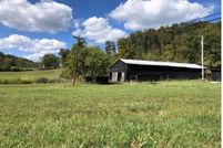 Undeveloped Land for sale in Lewis County, Kentucky