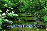 Undeveloped Land for sale in Cheatham County, Tennessee