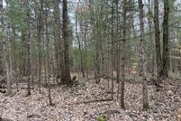 Undeveloped Land for sale in Mason County, Michigan