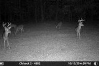 Land for sale in Dallas County, Alabama