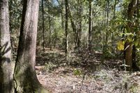 Land for sale in Mobile County, Alabama