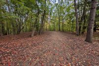 Hunting Property for sale in Mason County, Michigan