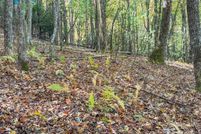 Land for sale in Henderson County, North Carolina