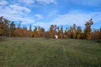 Undeveloped Land for sale in Montmorency County, Michigan