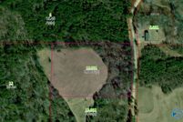 Land for sale in DeKalb County, Alabama