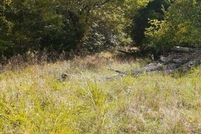 Land for sale in Harrison County, Kentucky