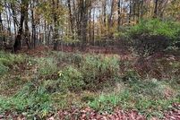 Undeveloped Land for sale in Potter County, Pennsylvania