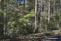 Land for sale in Allen County, Kentucky