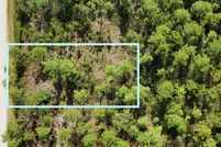 Undeveloped Land for sale in Brunswick County, North Carolina