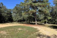 Undeveloped Land for sale in Escambia County, Alabama
