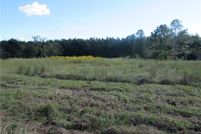 Land for sale in Pierce County, Georgia