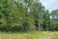 Undeveloped Land for sale in Osceola County, Michigan