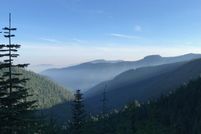Undeveloped Land for sale in Lane County, Oregon