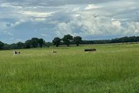 Land for sale in Dixie County, Florida