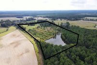 Land for sale in Wilcox County, Georgia