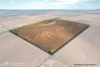 Land for sale in Taylor County, Texas