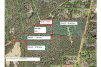 Undeveloped Land for sale in Saint Tammany Parish, Louisiana