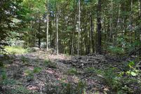 Undeveloped Land for sale in Osceola County, Michigan