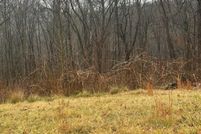 Undeveloped Land for sale in Roanoke County, Virginia