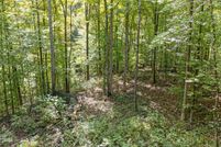 Undeveloped Land for sale in Unicoi County, Tennessee