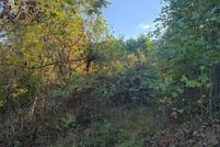 Land for sale in Lewis County, Kentucky