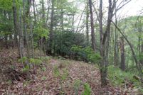 Undeveloped Land for sale in Haywood County, North Carolina
