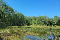 Undeveloped Land for sale in Manistee County, Michigan