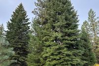 Land for sale in Adams County, Idaho