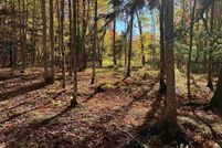 Land for sale in Marquette County, Michigan