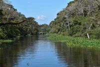 Farm and Ranch for sale in Ascension Parish, Louisiana