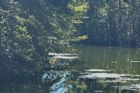 Waterfront Property for sale in Calhoun County, South Carolina