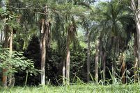 Land for sale in Kauai County, Hawaii