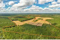 Land for sale in Wicomico County, Maryland