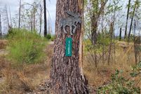 Land for sale in Butte County, California