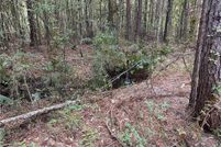 Land for sale in Tangipahoa Parish, Louisiana