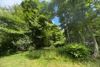 Undeveloped Land for sale in Allegan County, Michigan
