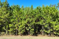 Recreational Property for sale in Houston County, Alabama