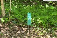 Land for sale in Ashe County, North Carolina