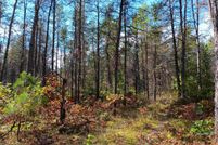 Undeveloped Land for sale in Lake County, Michigan